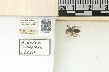 Media type: image;   Entomology 768822 Aspect: Labels